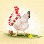 banniere-filiere-volaille-300x300px-JDM