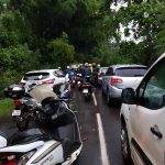 Bouchons bambous