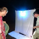 Vincent Nicolas à gauche, attire les insectes avec une toile éclairée