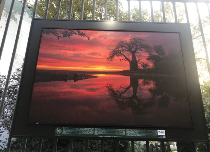 Ooutre-mer grandeur nature, Mayotte, Luxembourg, Sénat