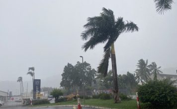 Vers de prochains mois plus secs ? Des prévisions météos loin de mettre l’eau à la bouche