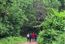 1ère Édition du séjour Ville Vie Vacances International en Afrique du Sud Ville Vie Vacances Solidarité International, PSL, Afrique du sud, Mayotte